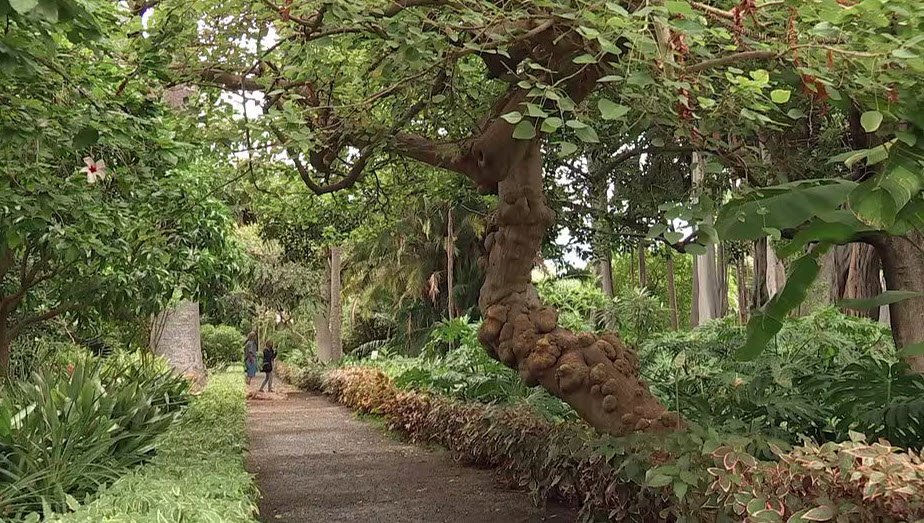 Neuss Botanical Garden, Neuss, Germany, Germany